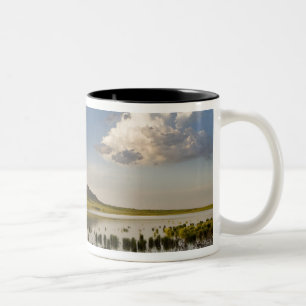 Bear Butte spiegelt sich in Bear Butte Lake in der Zweifarbige Tasse