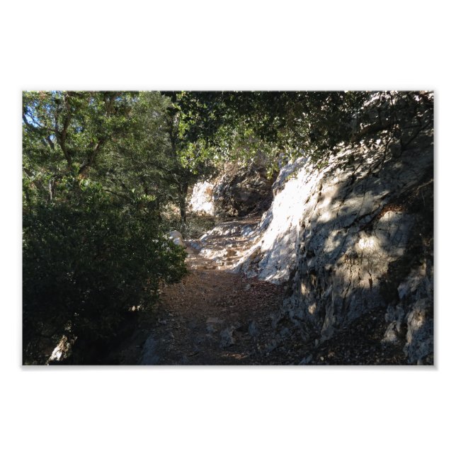 Bear Canyon Campground Fotodruck (Vorne)