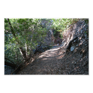 Bear Canyon Campground Fotodruck