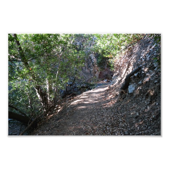 Bear Canyon Campground Fotodruck (Vorne)