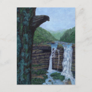 Bear Falls Painting Postkarte