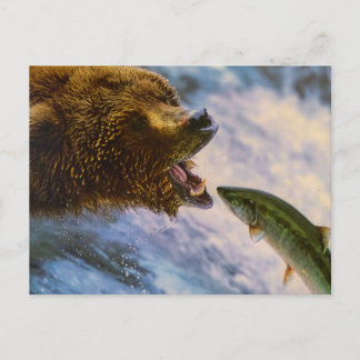 BEAR FISH WILD ANIMAL POSTCROSSING POSTKARTE