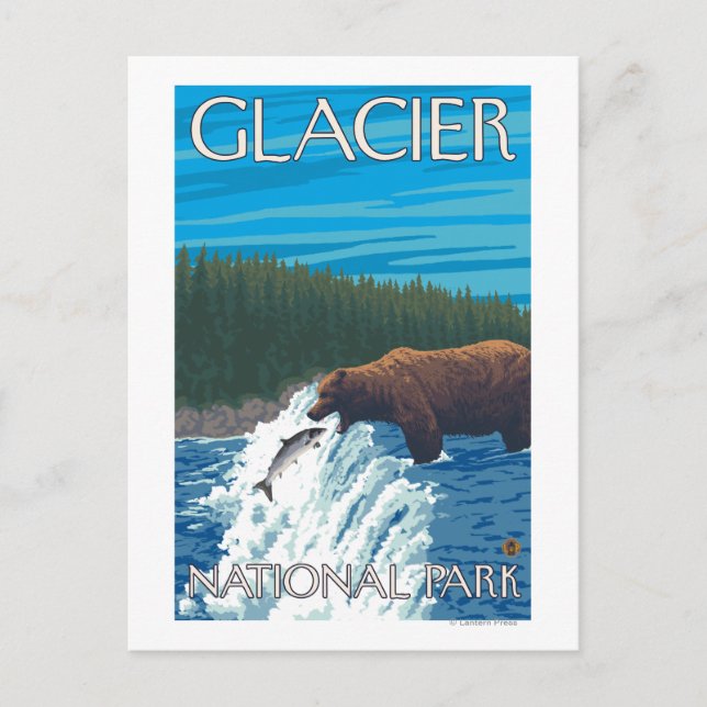 Bear Fishing in River - Glacier National Park, Postkarte (Vorderseite)