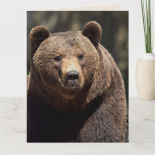 BEAR FOTOGRAFIE JEDERZEIT FÜR FRAMKARTE KARTE