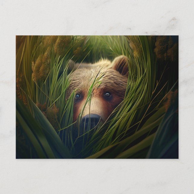 Bear-Grab-Postkarten Postkarte (Vorderseite)