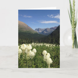 Bear Grass Glacier Nationalpark Karte