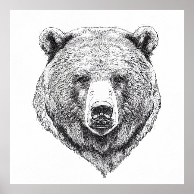 Bear Grizzly Wild Nature Animal Illustration Art Poster (Vorne)