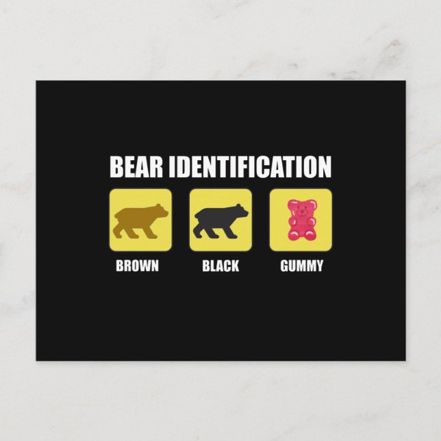 Bear Identification Funny Postkarte (Vorderseite)