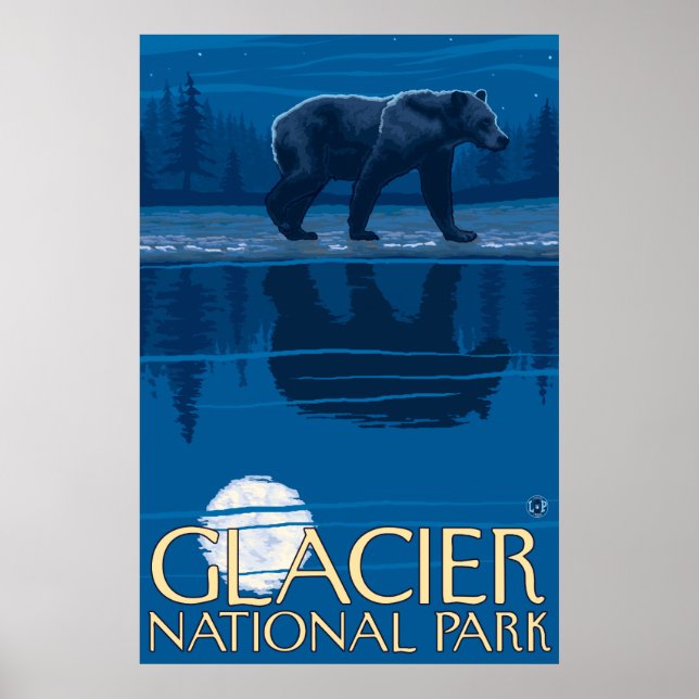 Bear in Moonlight - Glacier National Park, MT Poster (Vorne)