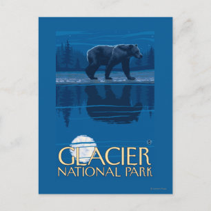 Bear in Moonlight - Glacier National Park, MT Postkarte