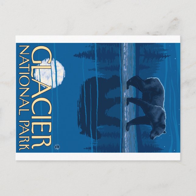 Bear in Moonlight - Glacier National Park, MT Postkarte (Vorderseite)