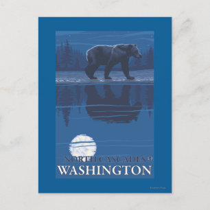 Bear in Moonlight - North Cascades, Washington Postkarte