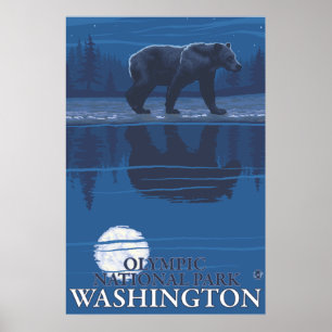 Bear in Moonlight - Olympischer Nationalpark, WA Poster