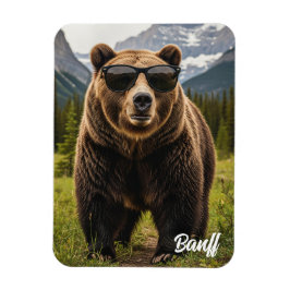 Bear in Sunglasses Banff National Park Kanada Magnet