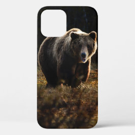 Bear iPhone 12 Fall Case-Mate iPhone Hülle