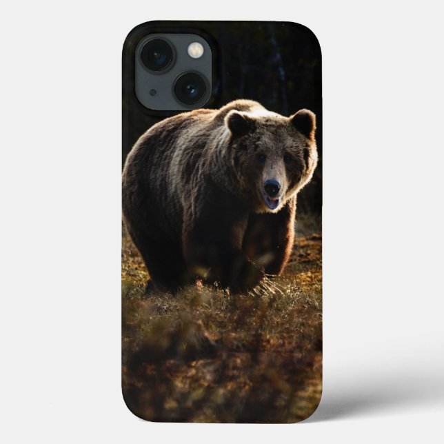 Bear iPhone 13 Fall Case-Mate iPhone Hülle (Rückseite)