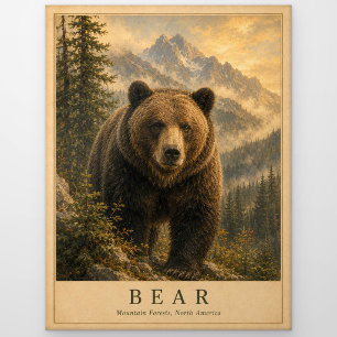 Bear Mountain Wälder VINTAGE Postkarte