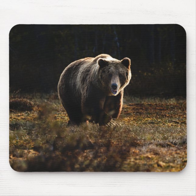 Bear Mouse Pad Mousepad (Vorne)