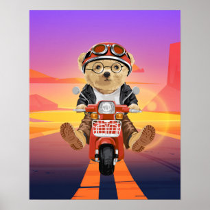 Bear Riding Scooter Wüste Sunset Poster