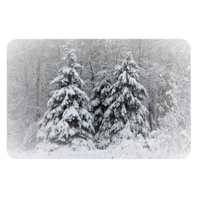 Bear River Perennial Gardens. Northen Minnesota Magnet (Horizontal)