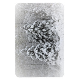 Bear River Perennial Gardens. Northen Minnesota Magnet