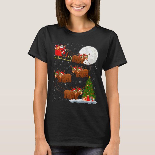 Bear Santa Sleigh Flying Funny Magical Christmas T T-Shirt (Vorderseite)