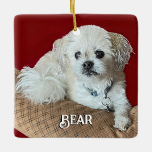 Bear the Malshi Relaxen Keramikornament