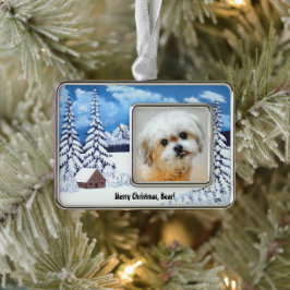 Bear the Malshi Winter WonderOrnament Rahmen-Ornament Silber