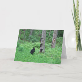 Bear & Three Cubs - Cards - Reitzner Karte