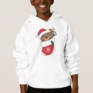 Bear Weihnachtsschnee Wintertiere Bären Hoodie