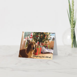 Bearbeitbare Basset Hound Lover Dog Weihnachtskart Karte