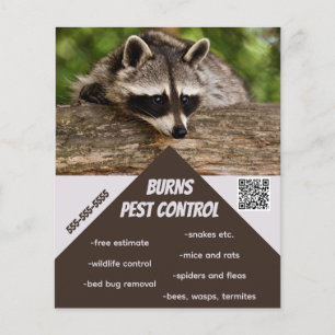 Bearbeitbare Pest-Kontrolle Flyer