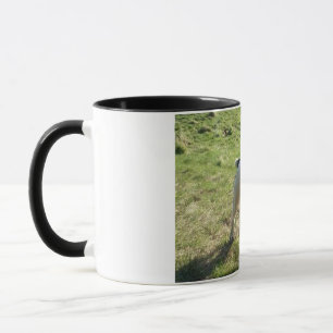 Bearbeitbare Tasse mit Foto und Text