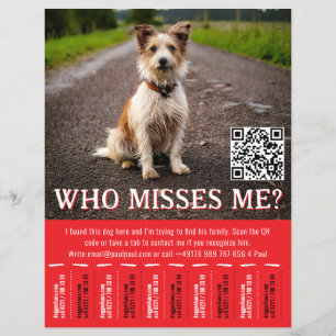 Bearbeitbares Fundhund-Plakat mit QR-Code und Abre Flyer
