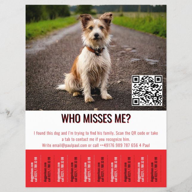 Bearbeitbares Fundhundplakat mit QR-Code und Abrei Flyer (Vorne)