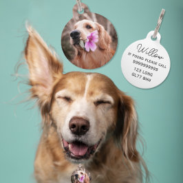 Bearbeiten von ID-Hund/Katze-Begleitern Haustiermarke