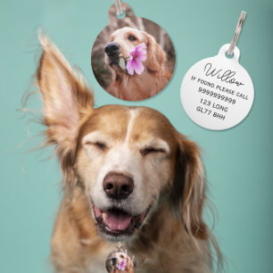 Bearbeiten von ID-Hund/Katze-Begleitern Haustiermarke