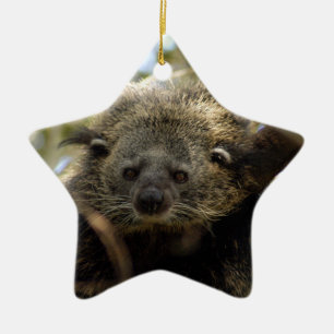 Bearcat-Weihnachtsverzierung Keramikornament
