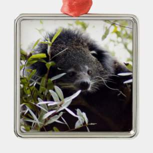 Bearcat-Weihnachtsverzierung Silbernes Ornament