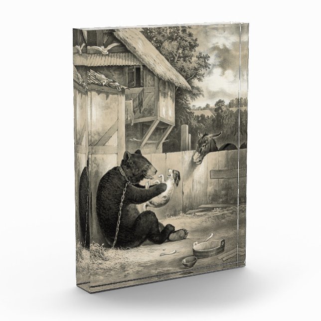 Beard - Bear, Dog and Donkey Fotoblock (Links)