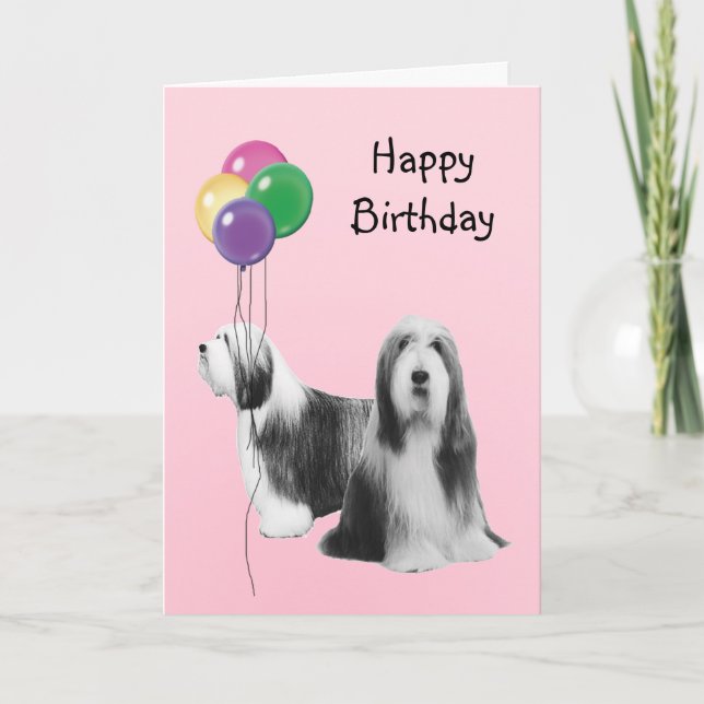 Bearded Collie, Birthday Balloons Karte (Vorderseite)