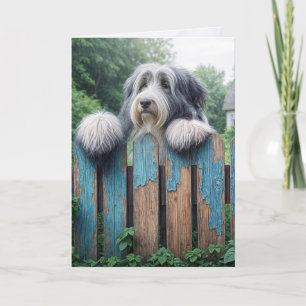 Bearded Collie Denken Sie an Sie Karte