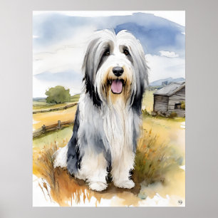 Bearded Collie - Dogenkunst drucken Poster