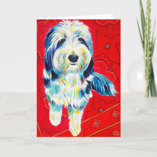 Bearded Collie Grußkarte, Umschläge enthalten Karte