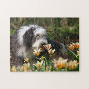 Bearded Collie im Frühling Puzzle