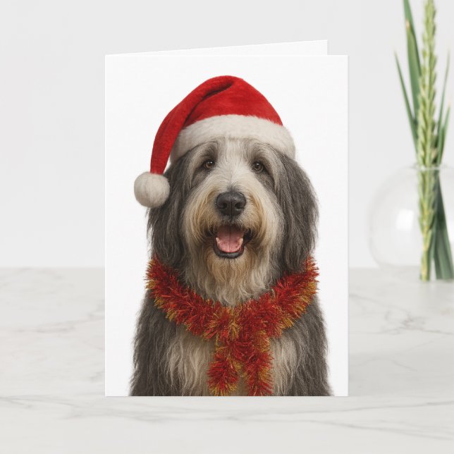 Bearded Collie in a Santa hat Christmas card Karte (Vorderseite)