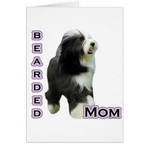 Bearded Collie Mama 4
