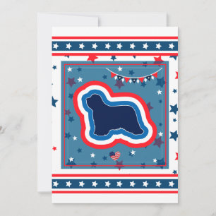 Bearded Collie Patriotic Red White Blue 4. Juli Feiertagskarte