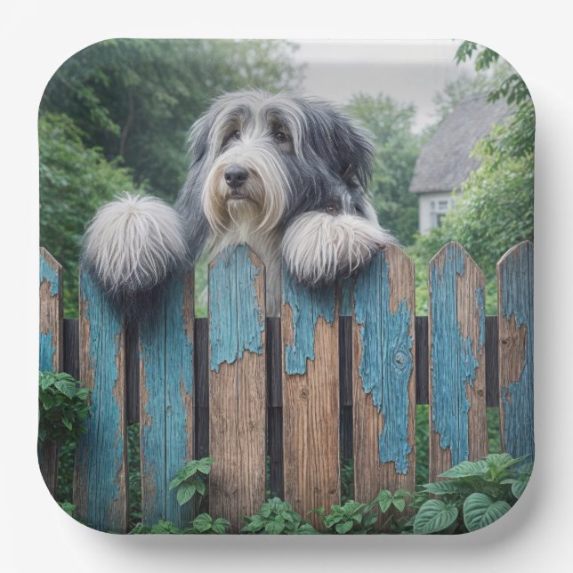 Bearded Collie Pinkeln über den alten Zaun Pappteller (Vorderseite)