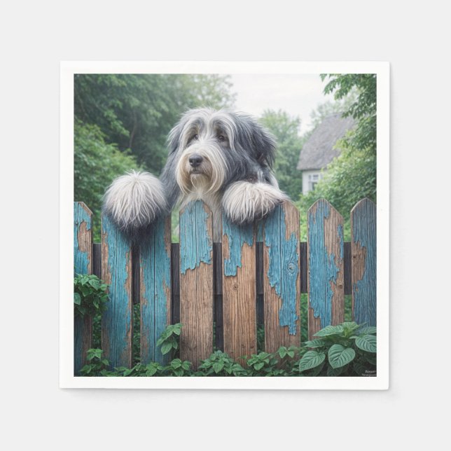 Bearded Collie Pinkeln über den alten Zaun Serviette (Vorderseite)